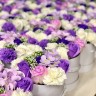 IMG_8445.jpeg