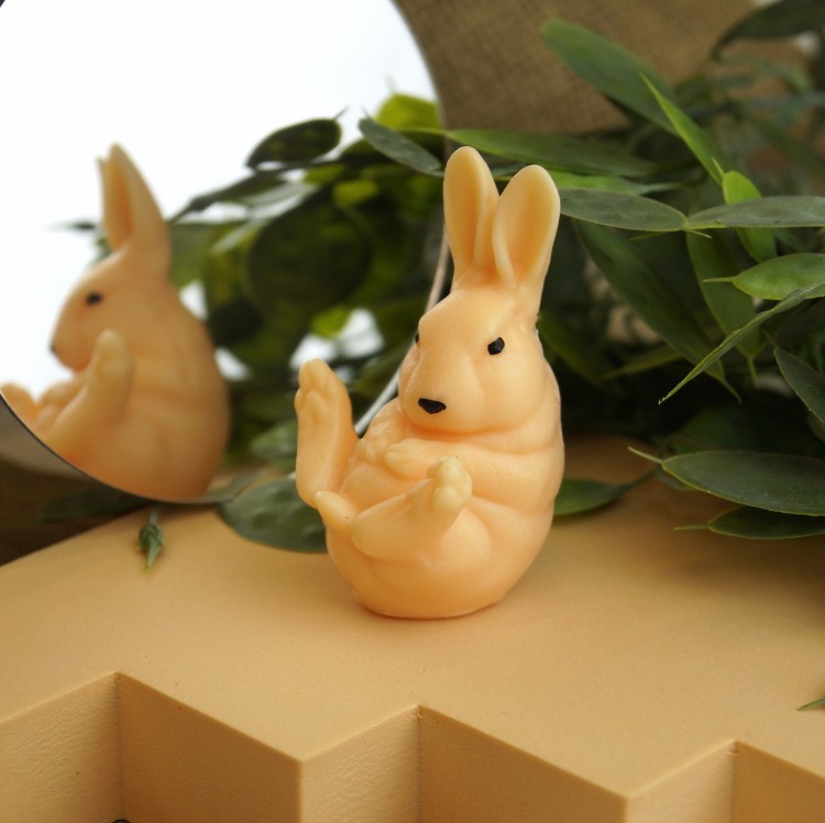 zajaczeklezacy_Easy-Resize.com