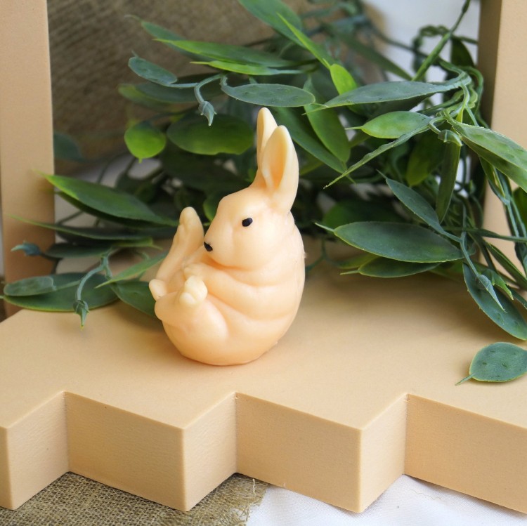 zajaczeklezacy3_Easy-Resize.com