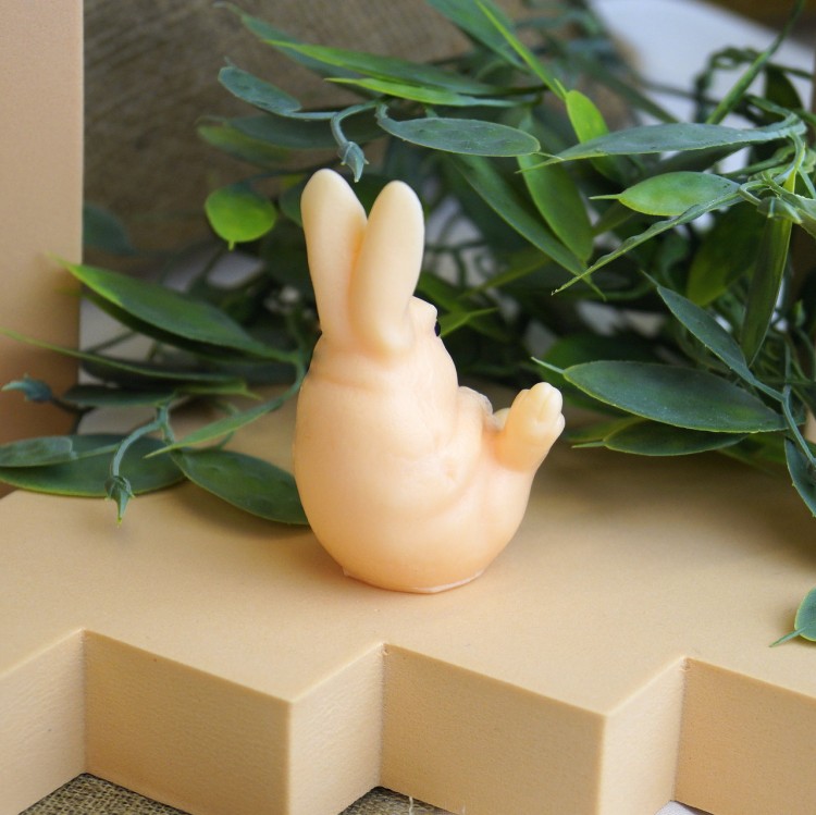 zajaczeklezacy2_Easy-Resize.com