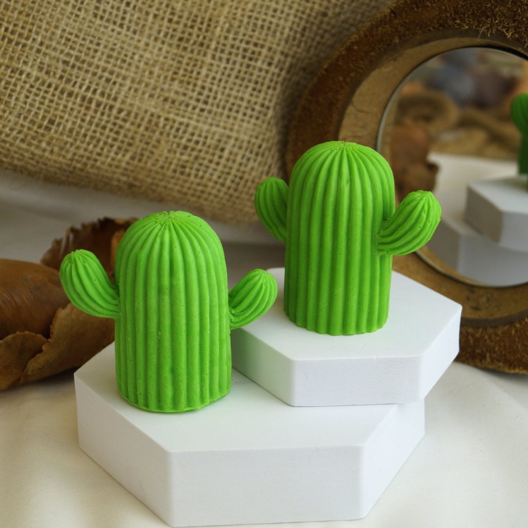 kaktusyjutropop_Easy-Resize.com