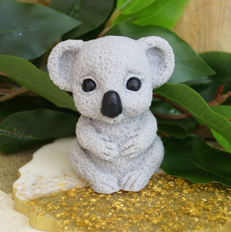 koala3